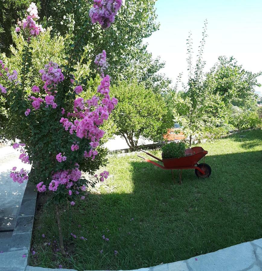 Studios Thea Fresh Rooms Thassos Exterior foto