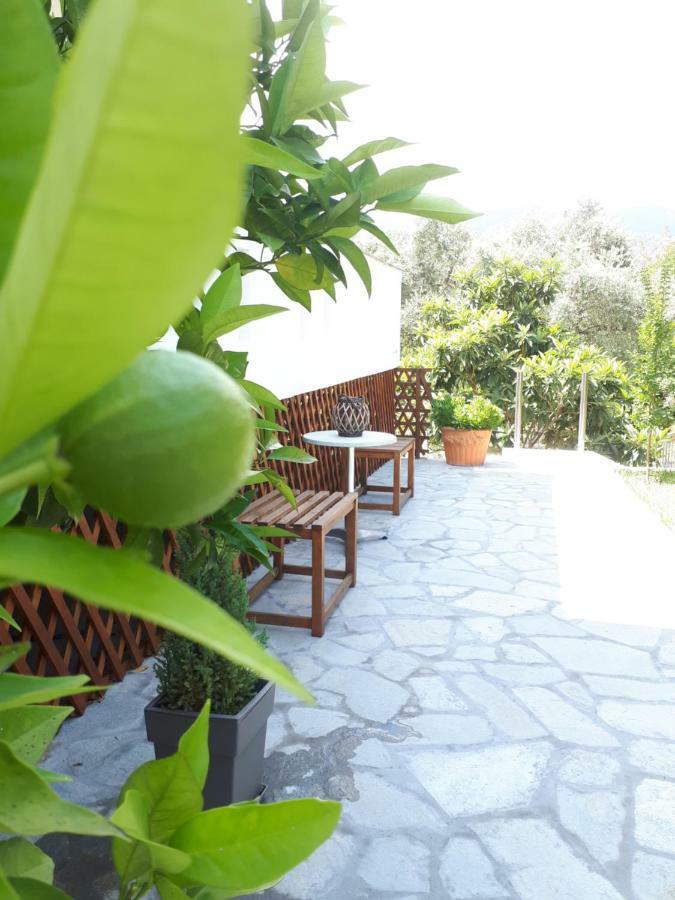 Studios Thea Fresh Rooms Thassos Exterior foto